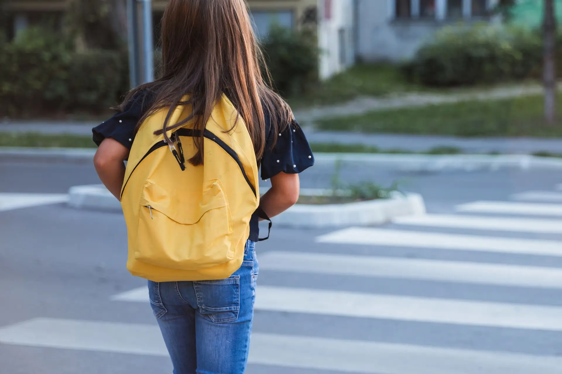 Assembleia Municipal de Lisboa quer redução da velocidade rodoviária junto às escolas