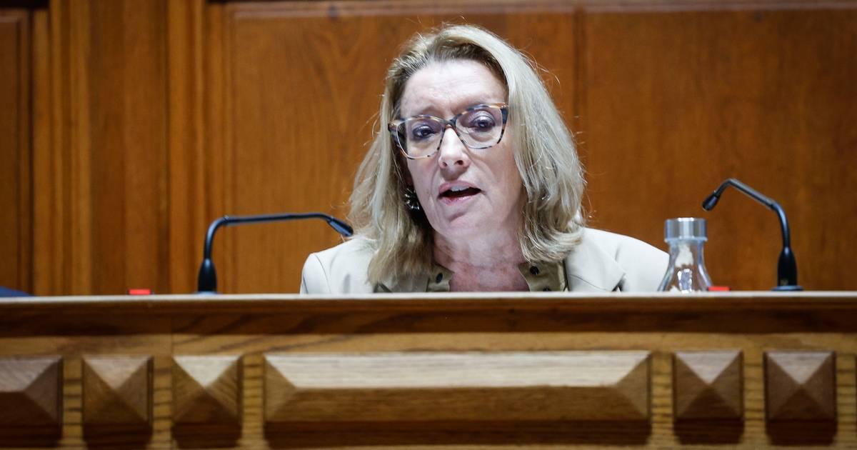Ministra diz que Governo deu o corpo às balas ao defender os limites à dispensa para amamentação
