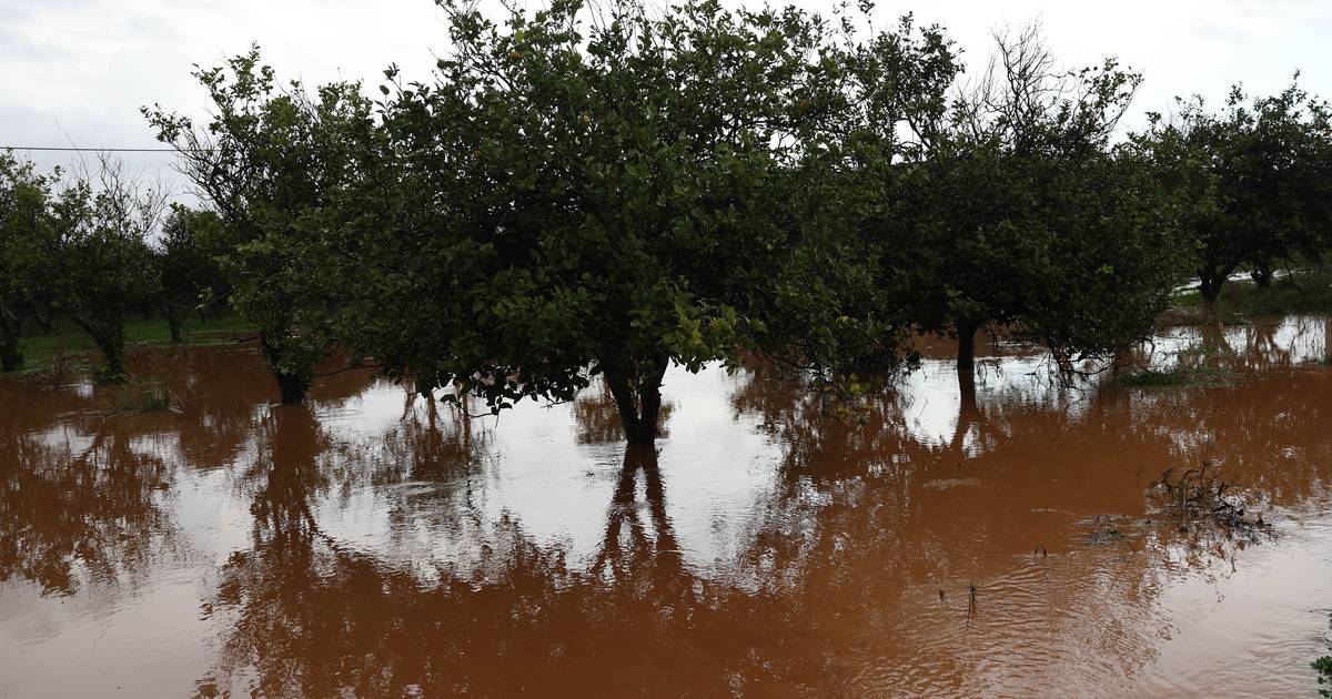 Chuva ameaça provocar cheias no Tejo, autoridades atentas a Castelo de Bode