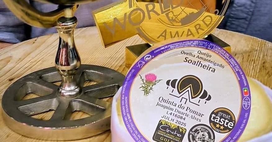 World's Best Cheese: Portuguese Delight Sells Out After Winning Top Honor!