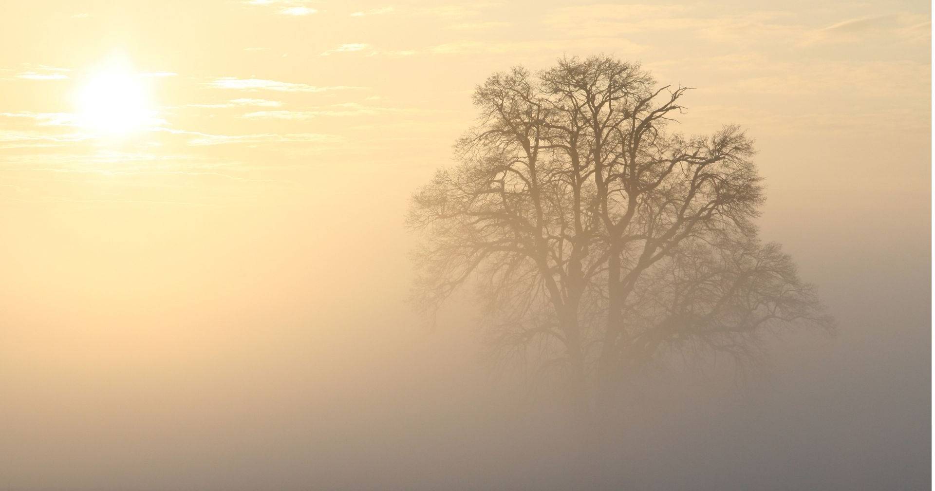 Cold Weather Alert: Lisbon, Setúbal, and Santarém Brace for Chilly Temperatures