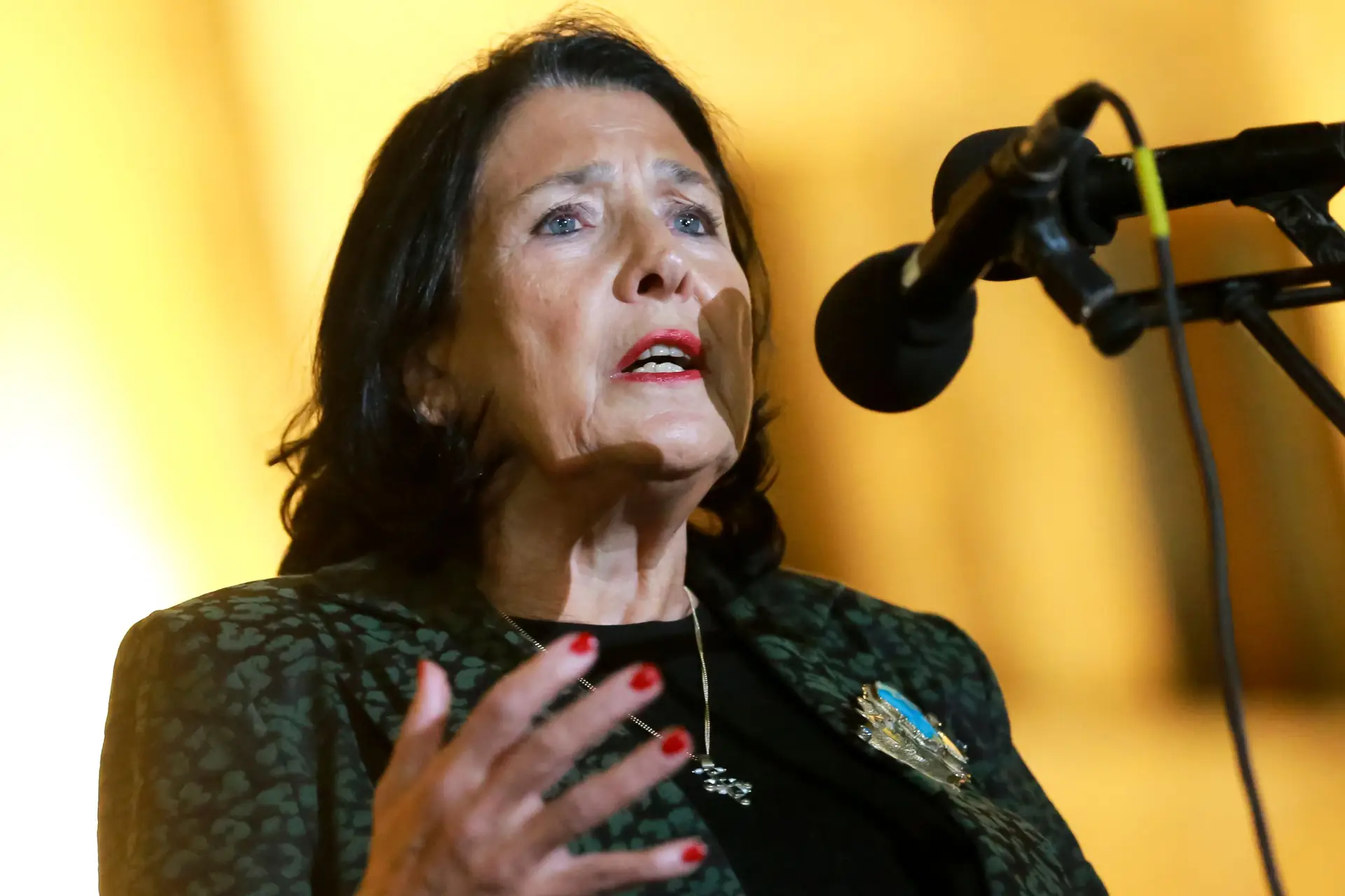 A Presidente da Geórgia, Salomé Zourabichvili