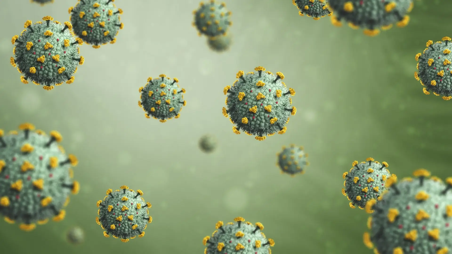 Covid-19: origem da pandemia terá sido "fuga" de informação de laboratório em Wuhan