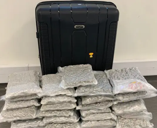 PJ detém dois cidadãos estrangeiros no Aeroporto de Lisboa com 17 Kg de canábis