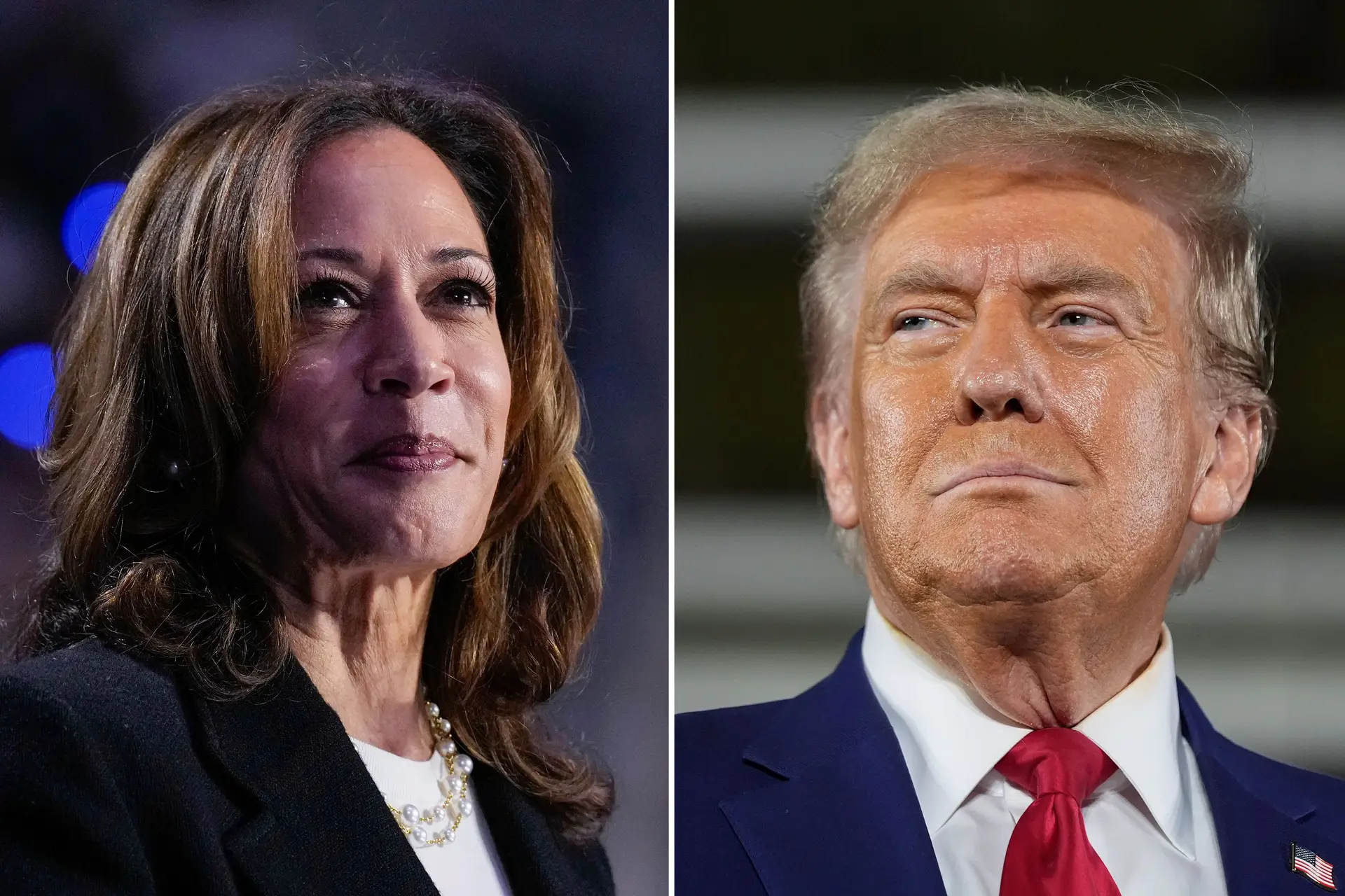 Donos de cães votaram mais Trump, Kamala teve sucesso em mulheres com gatos