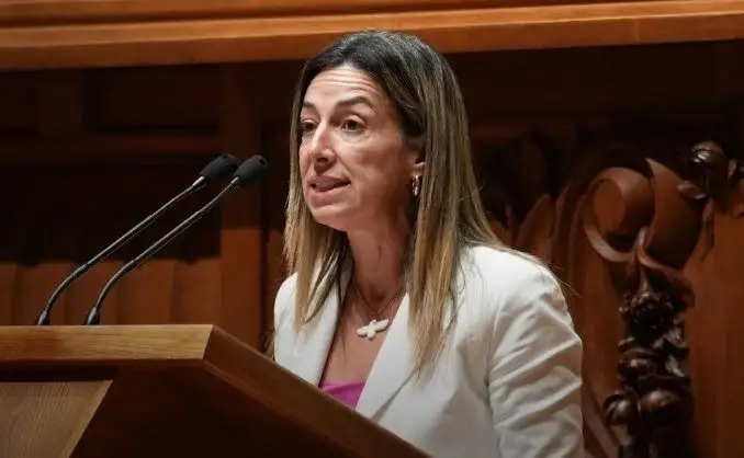 Deputada do Chega denunciada por agressões físicas e verbais - SIC Notícias