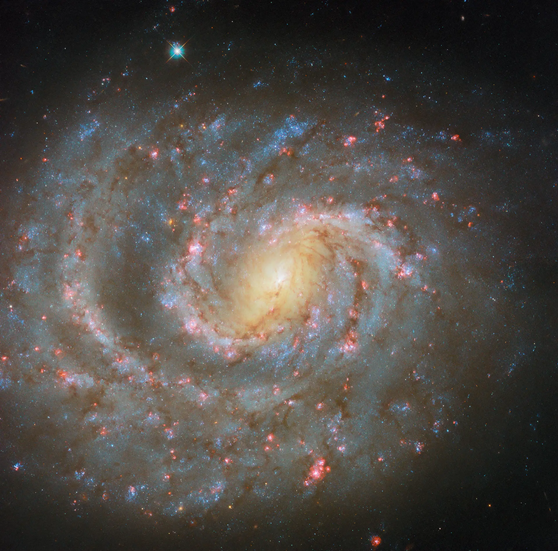 NGC 1637 é uma galáxia espiral a 38 milhões de anos-luz da Terra que está repleta de regiões cor-de-rosa onde nascem novas estrelas.