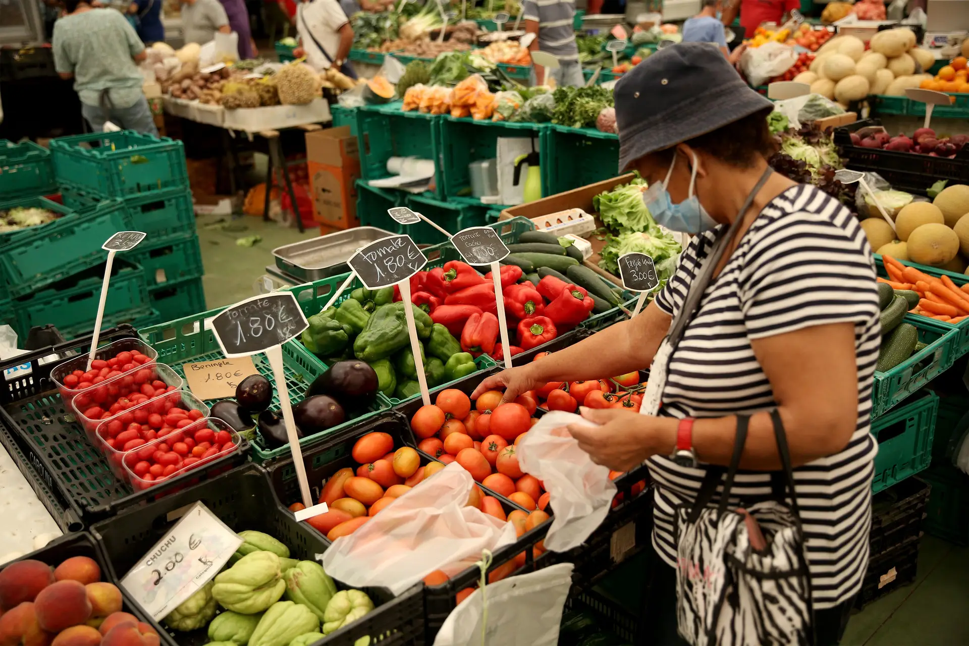 Preço do cabaz alimentar atinge novo máximo: conjunto de bens custa agora 254,99 euros