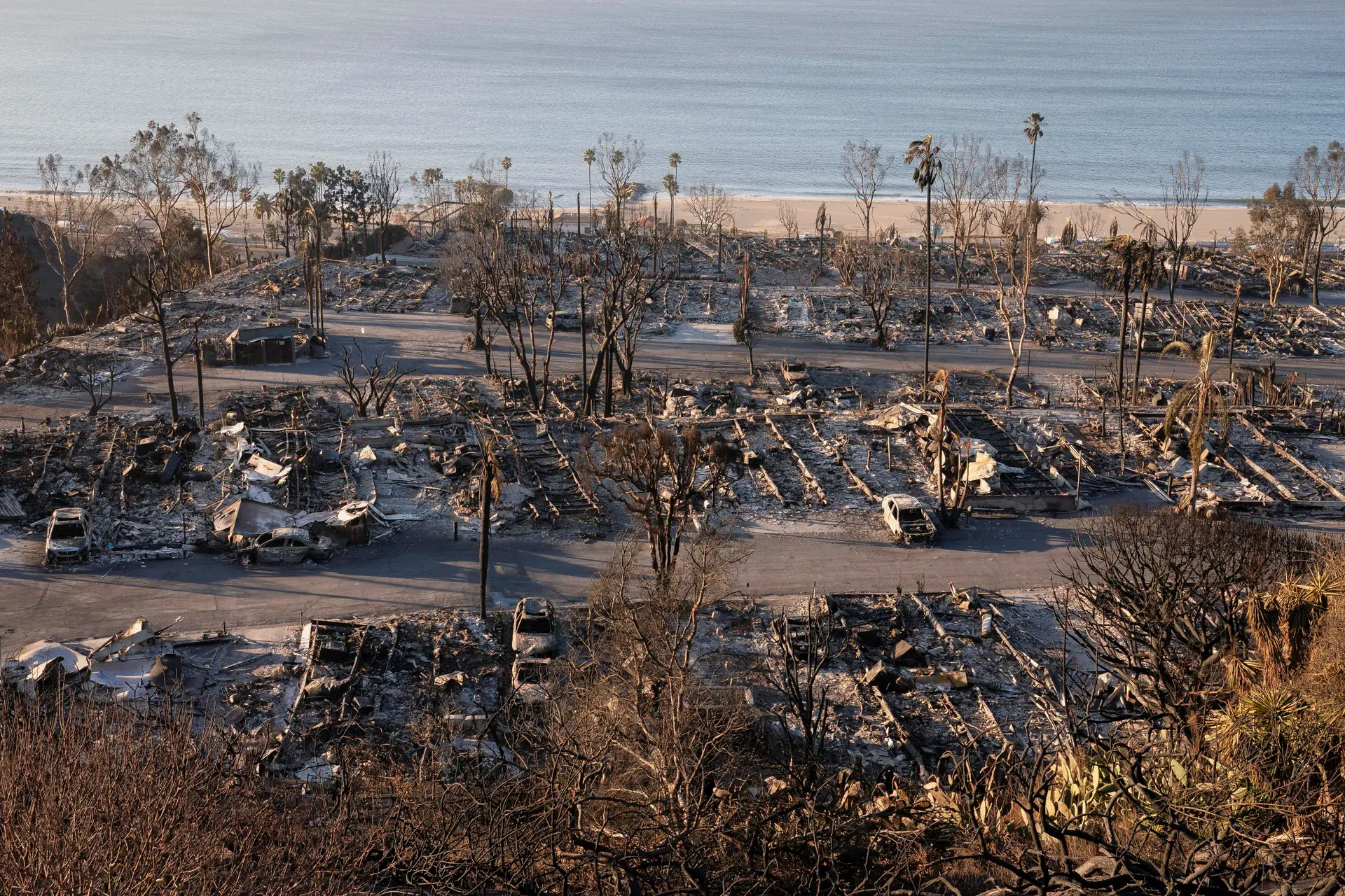 Incêndios em Los Angeles: anúncio de nomeados para os Óscares volta a ser adiado