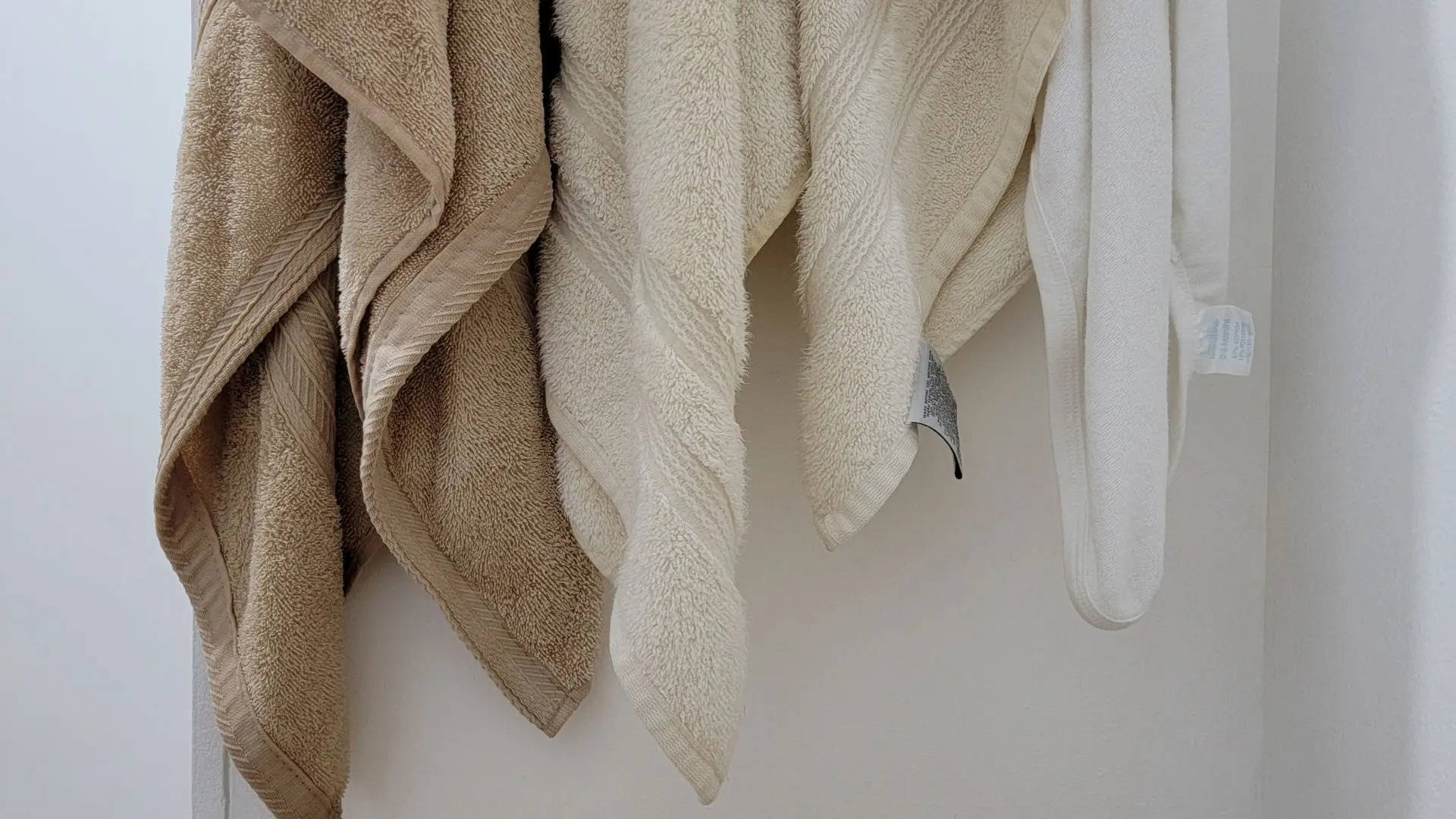 Toalhas acumulam milhões de bactérias: com que frequência devem ser lavadas?