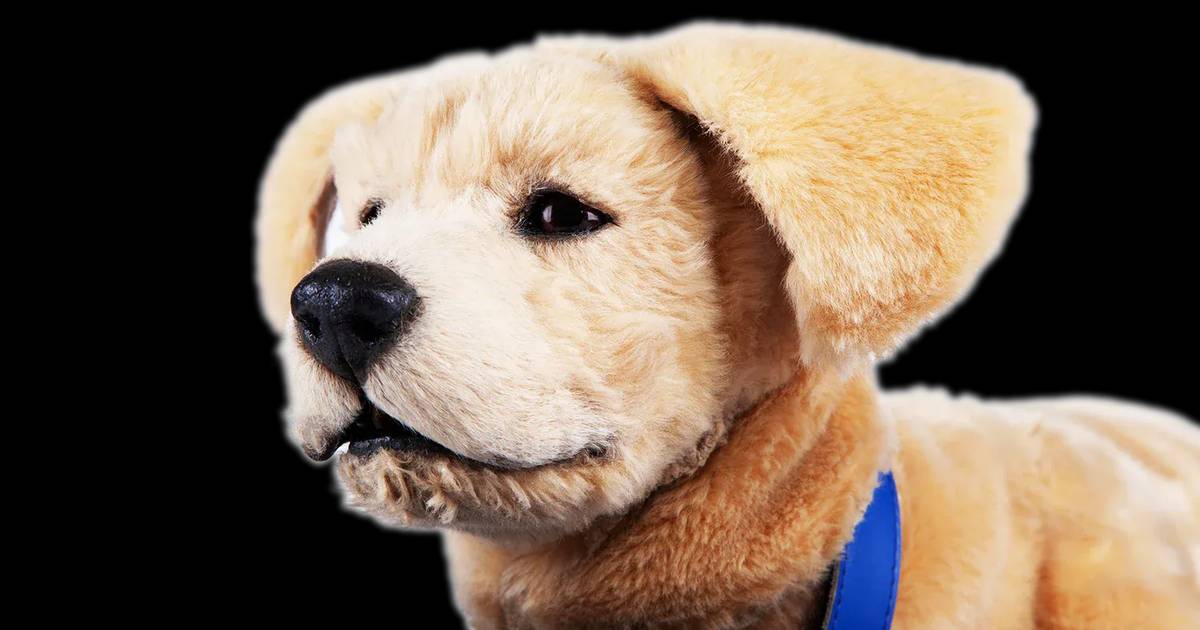 'Jennie', o cão-robô concebido para confortar idosos com demência