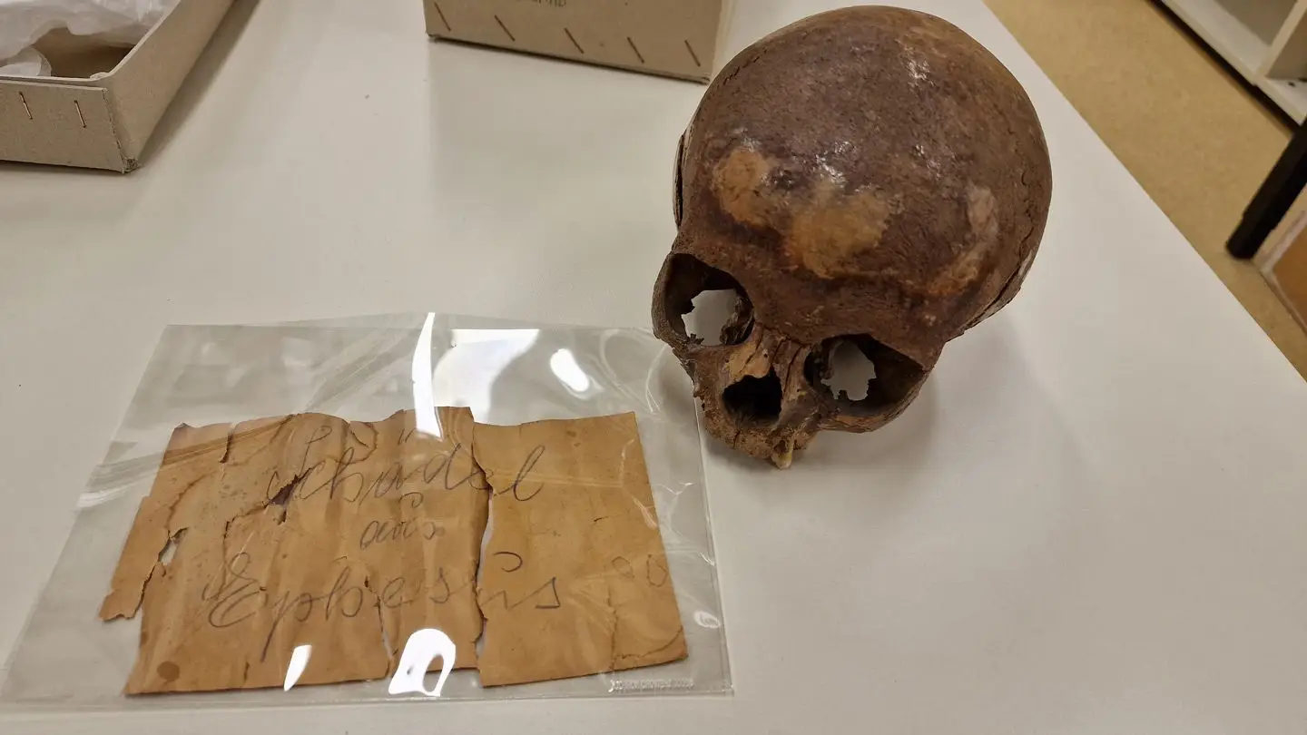 Crânio que se julgava ser da irmã de Cleópatra é afinal de um adolescente