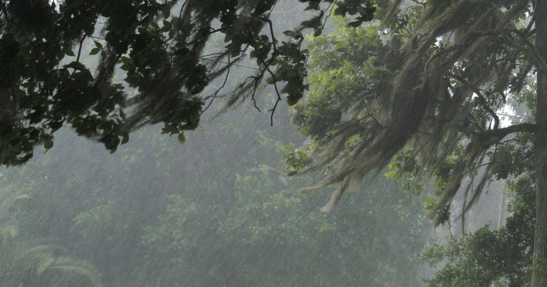 Brace for Extreme Weather: Heavy Rain, Strong Winds, and Rough Seas Expected in Portugal!