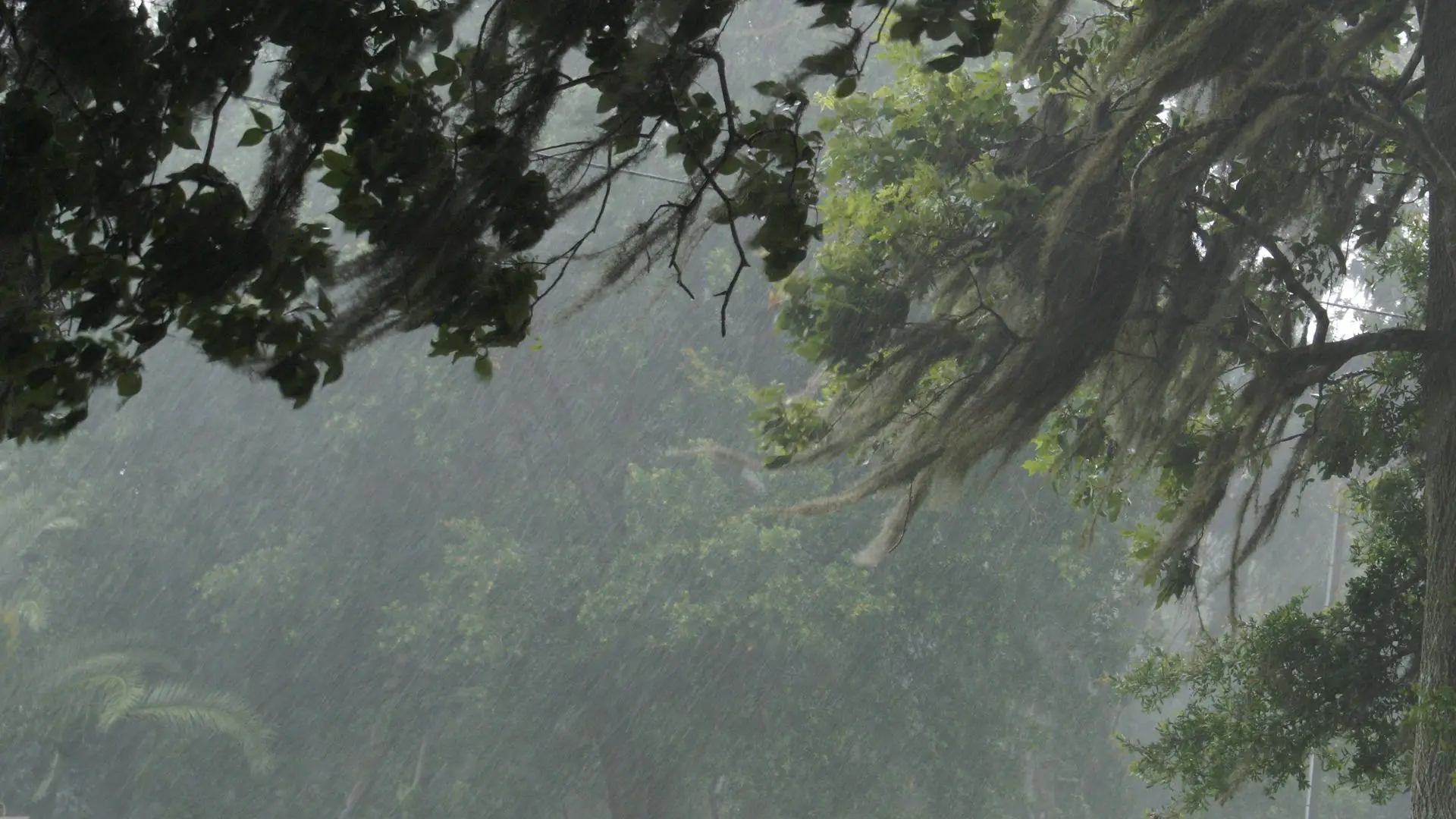 Severe Weather in Portugal