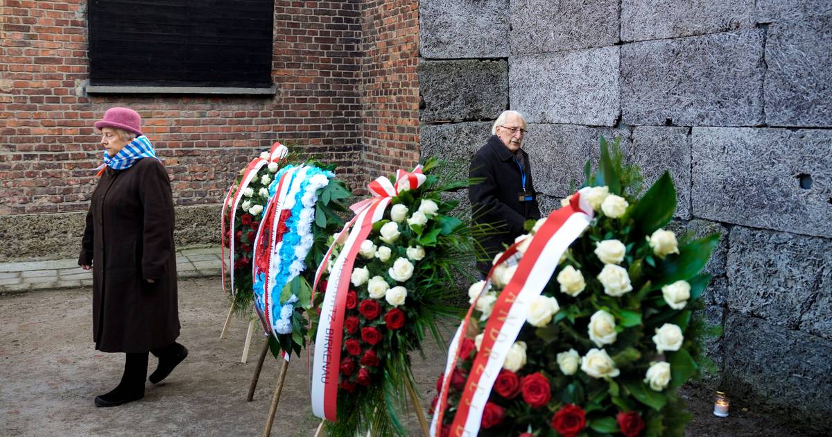 Nos 80 anos da libertação de Auschwitz, sobreviventes acreditam que esta será uma das últimas cerimónias