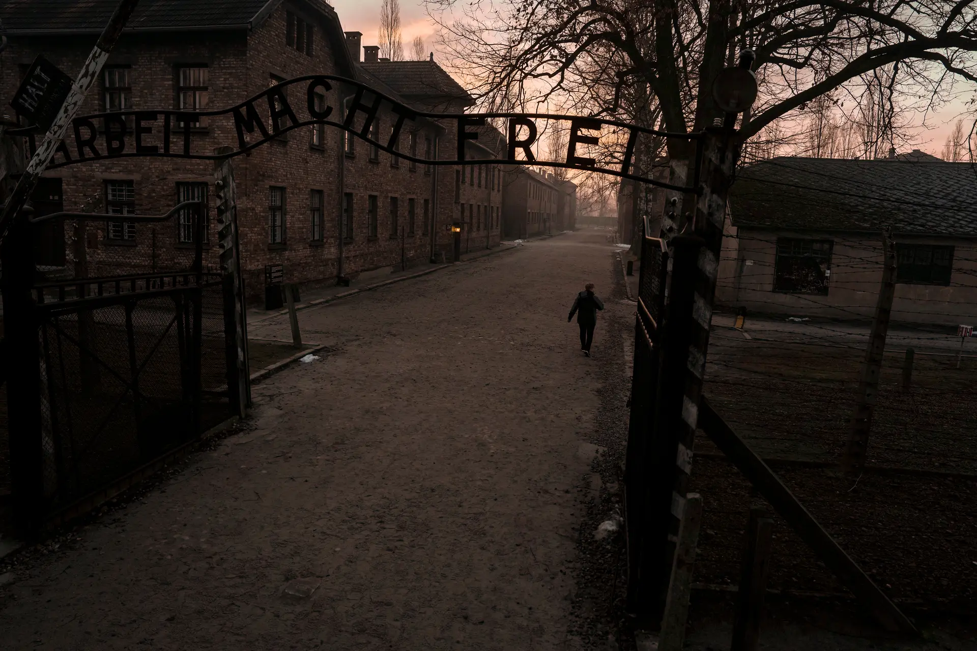 Fotografias, testemunhos, documentos: biblioteca sobre nazismo e Holocausto já está disponível online