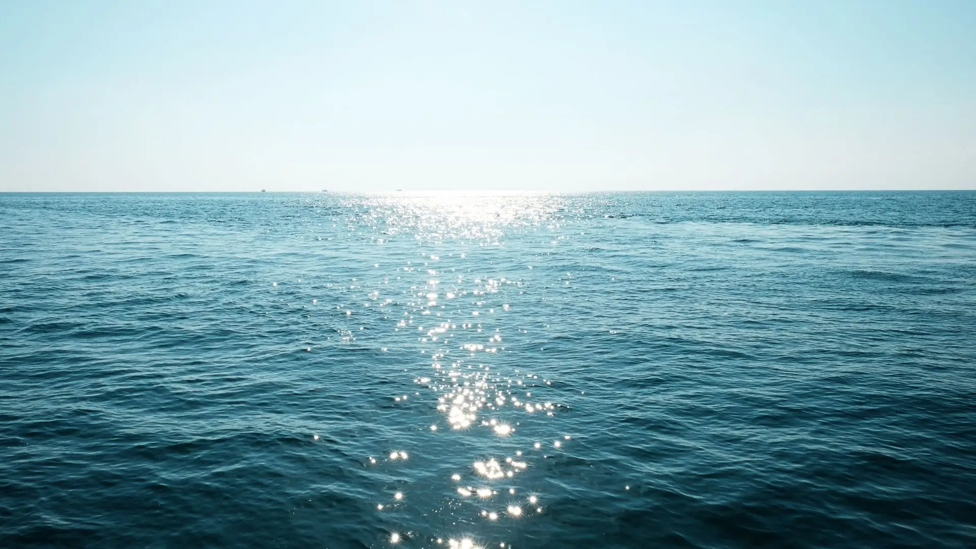 Apelo à ação urgente na proteção dos mares no Dia Mundial dos Oceanos