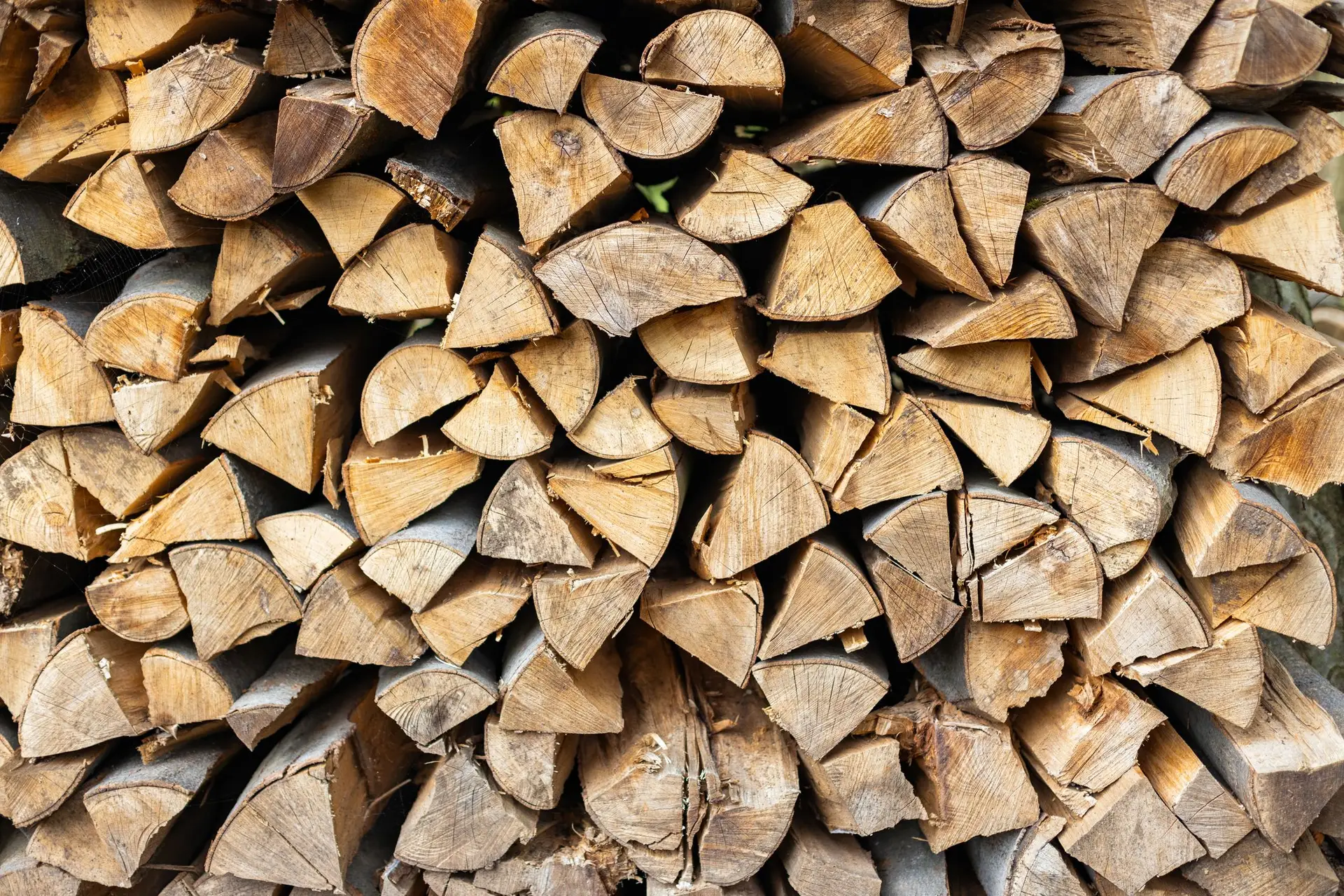 Portugal entre os países que recebe madeira russa proveniente de esquema ilegal