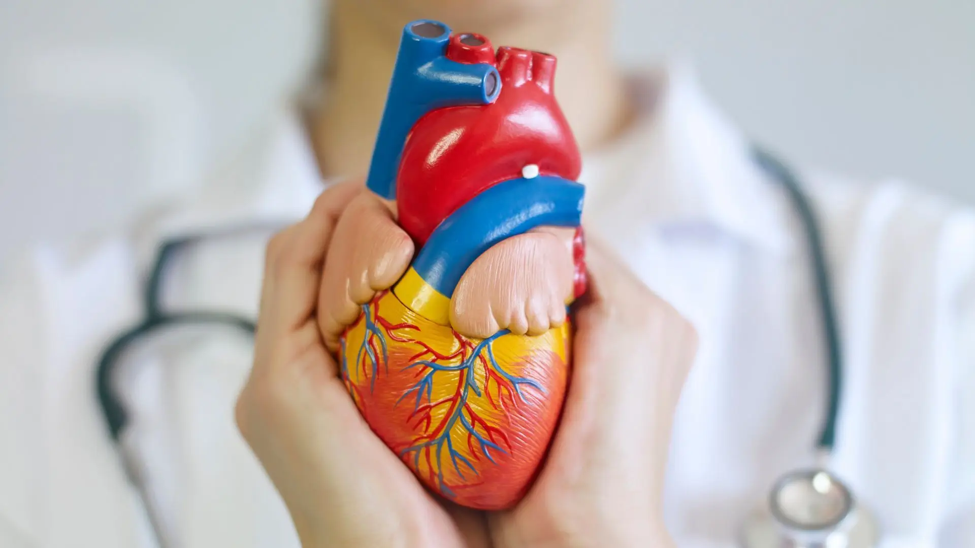 Batimento do coração pode ajudar a explicar por que o cancro cardíaco é tão raro