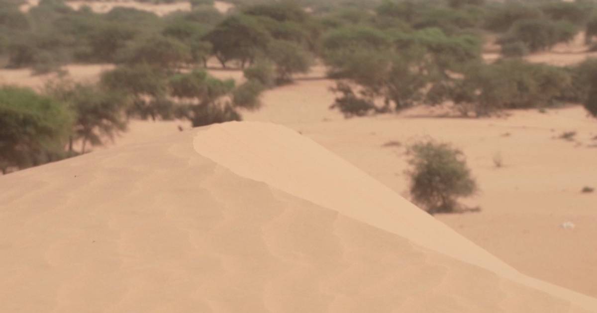 Desertificação: como se combate uma das grandes ameaças à sobrevivência humana?