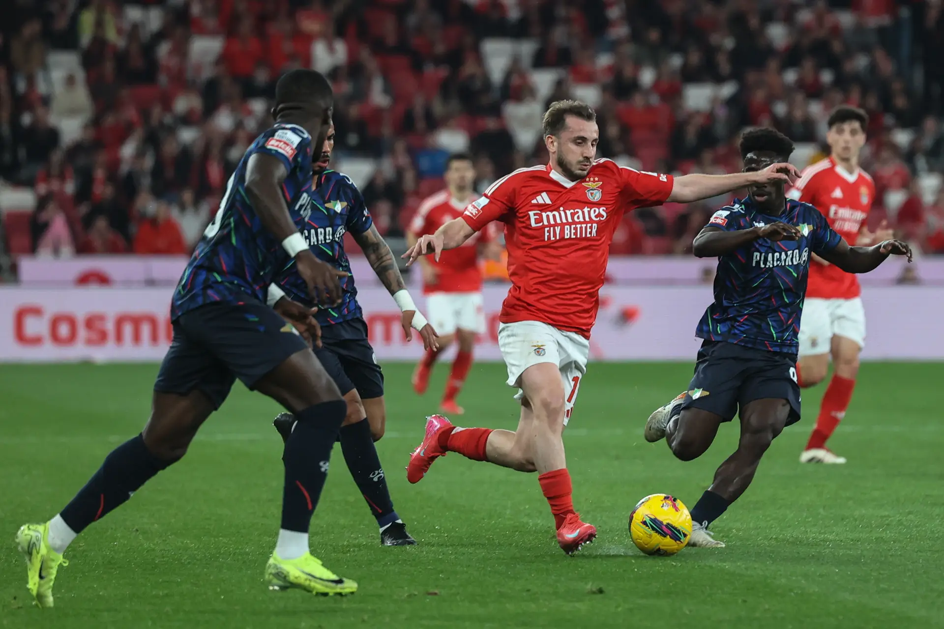 Primeira Liga: Benfica vence Moreirense na Luz e aproxima-se do Sporting