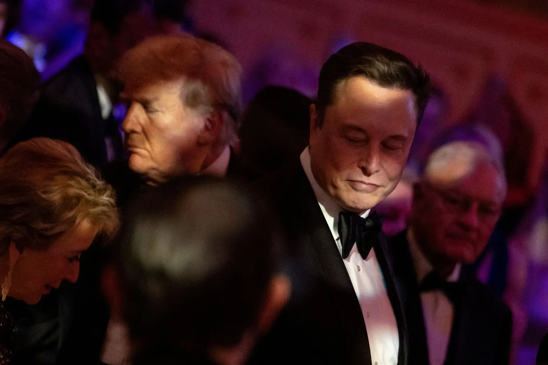 "Ajudou-me muito, foi formidável": Trump reafirma confiança em Musk para expor milhões de dólares em fraudes