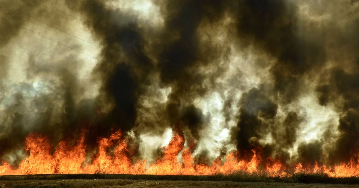 Chile declara estado de emergência e recolher obrigatório devido aos incêndios