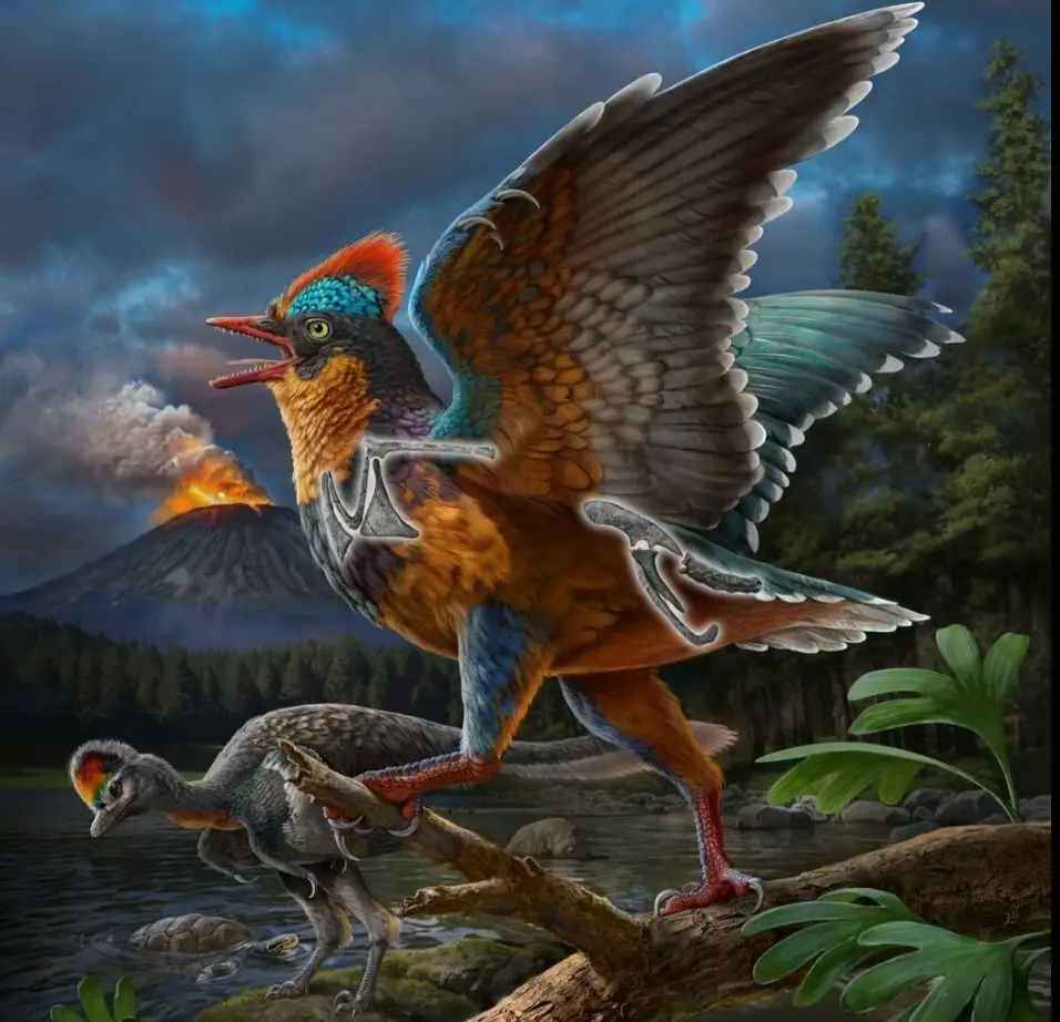 Reconstrução da vida da ave do Período Jurássico, Baminornis zhenghensis.