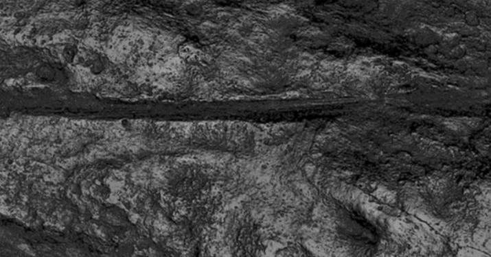 発見18、000年前のポーランドの洞窟での共食いの証拠