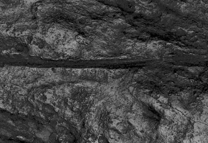 Descobertas evidências de canibalismo numa gruta na Polónia há 18.000 anos