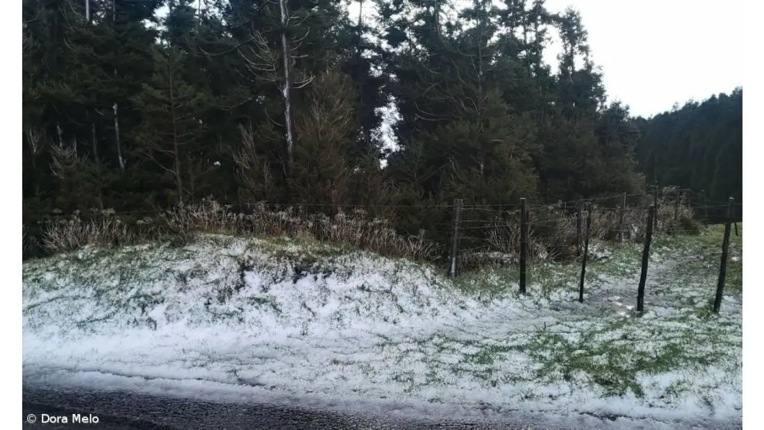 É raro, mas aconteceu: ilhas dos Açores ficaram pintadas de branco