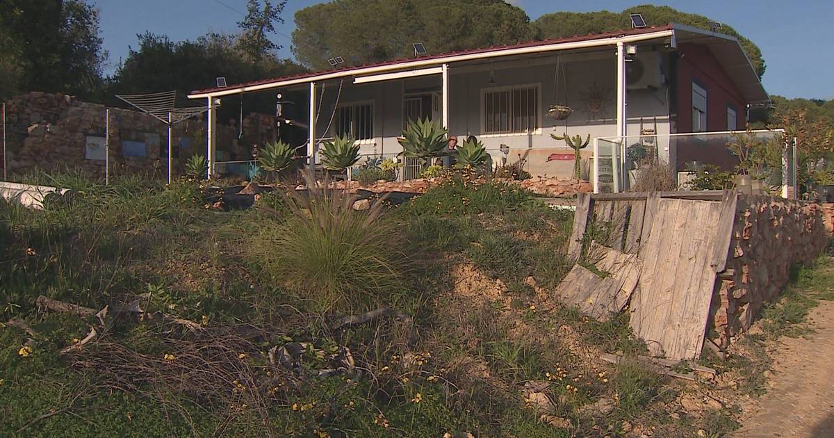 Casas ilegais multiplicam-se no Algarve: em Loulé já foram identificadas 700 que vão ser demolidas