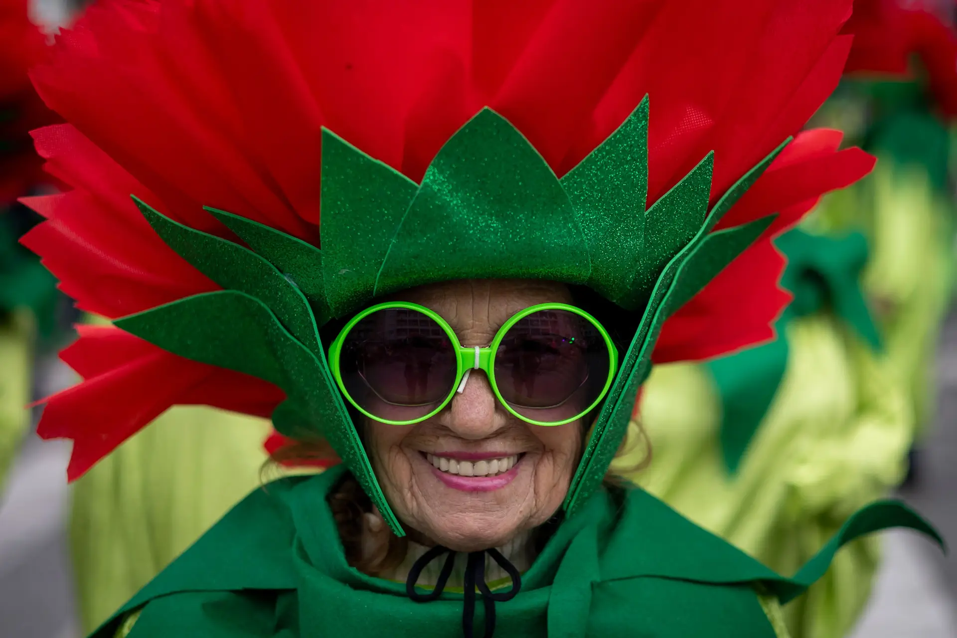 Carnaval de Torres Vedras