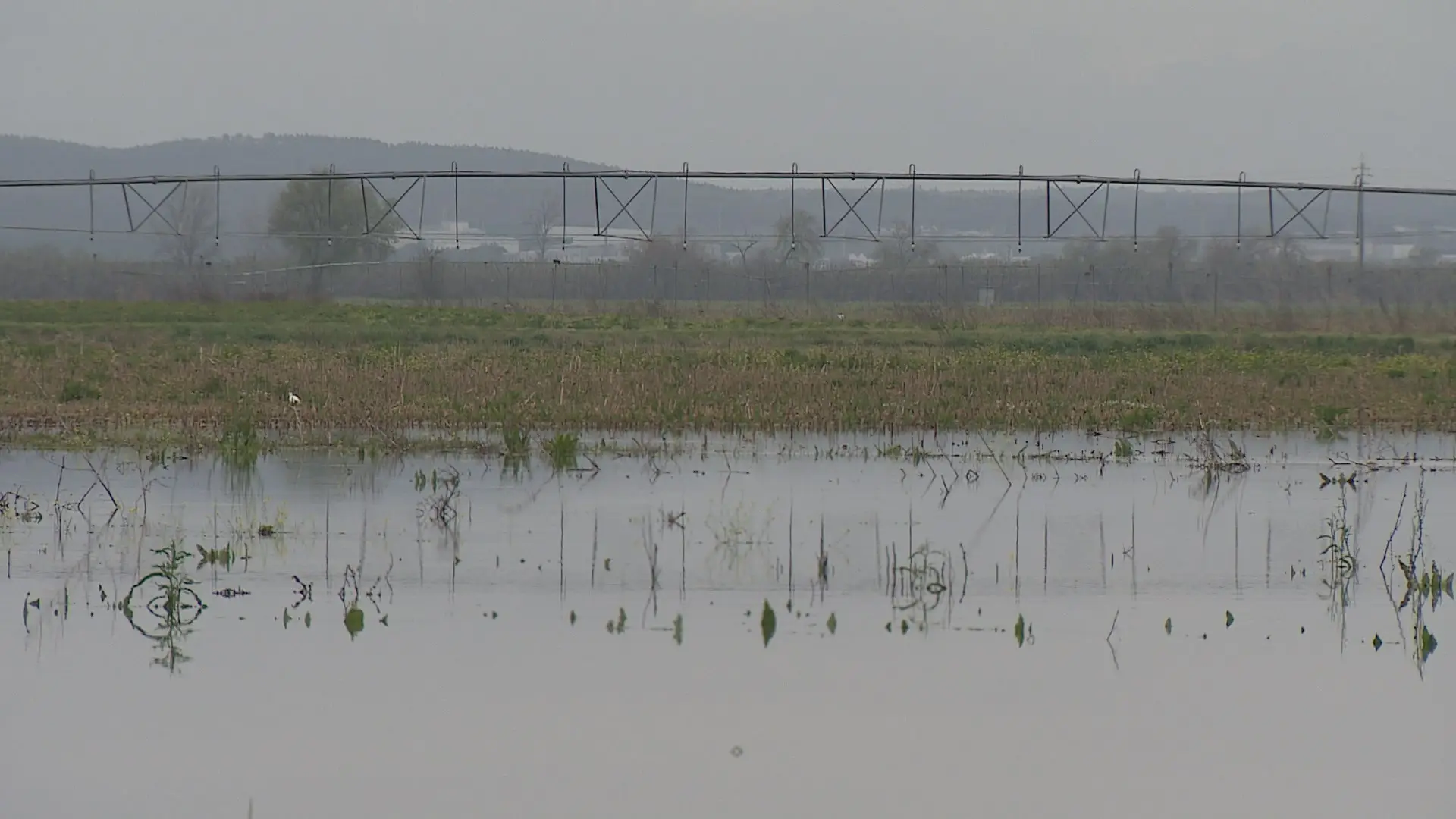 Ativado plano de emergência na Bacia do Tejo, 20 vias em Santarém afetadas pelas cheias
