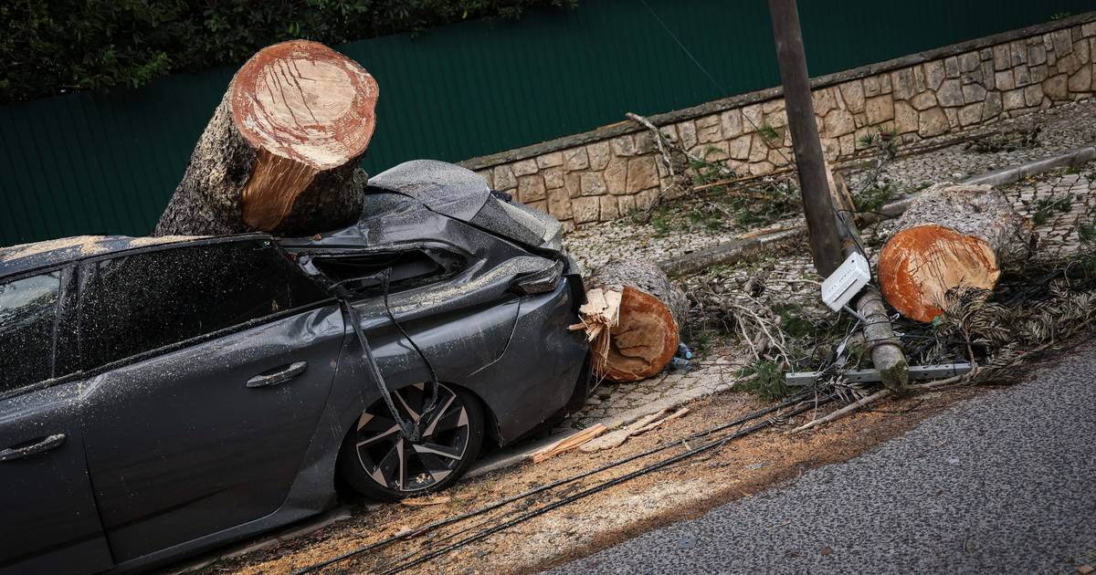 20 minutos: depressão Martinho provocou milhares de ocorrências por todo o país e pelo menos oito feridos