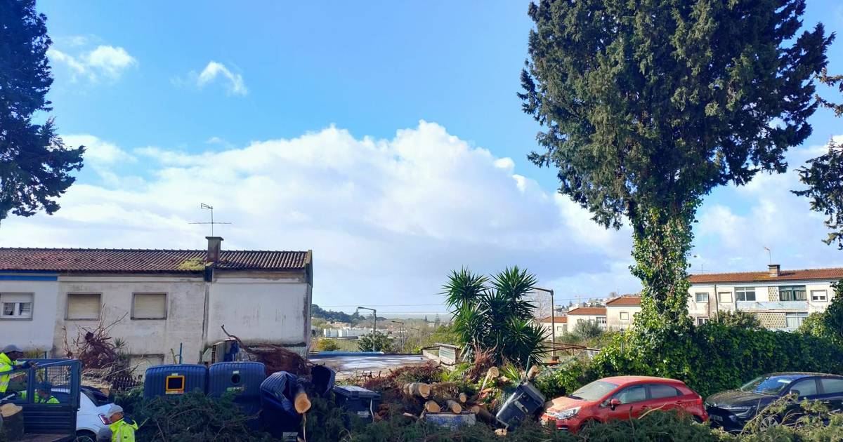 Em Oeiras os estragos foram muitos, mas situação "podia ter sido pior"