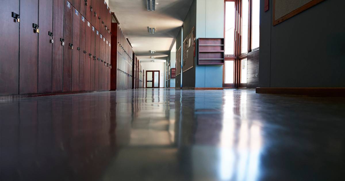 Universitários bolseiros abandonam menos os estudos e têm melhores notas, conclui estudo