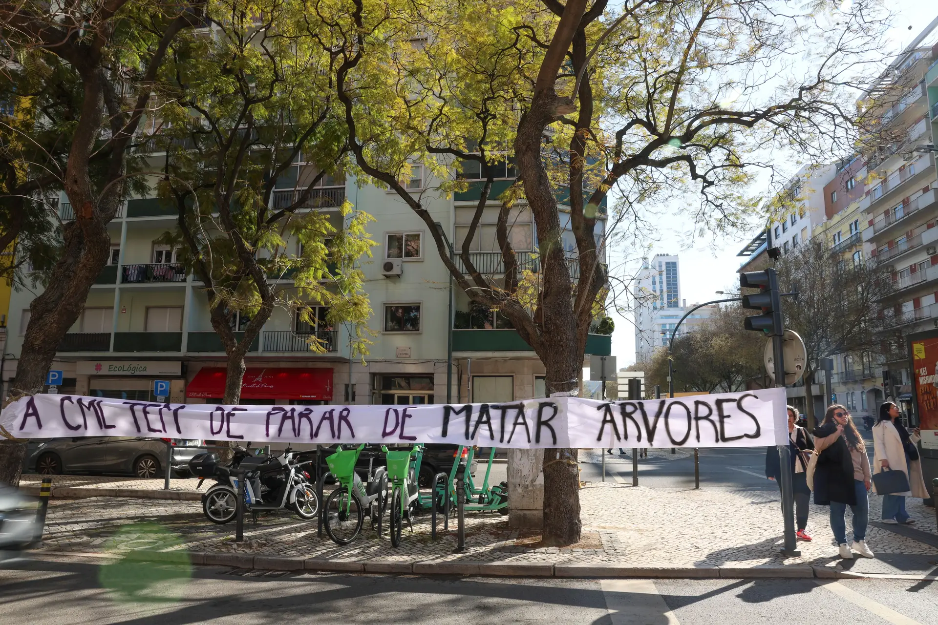 The Chamber of Lisbon has approved a proposal to protect the AV's jacker. 5d outbro