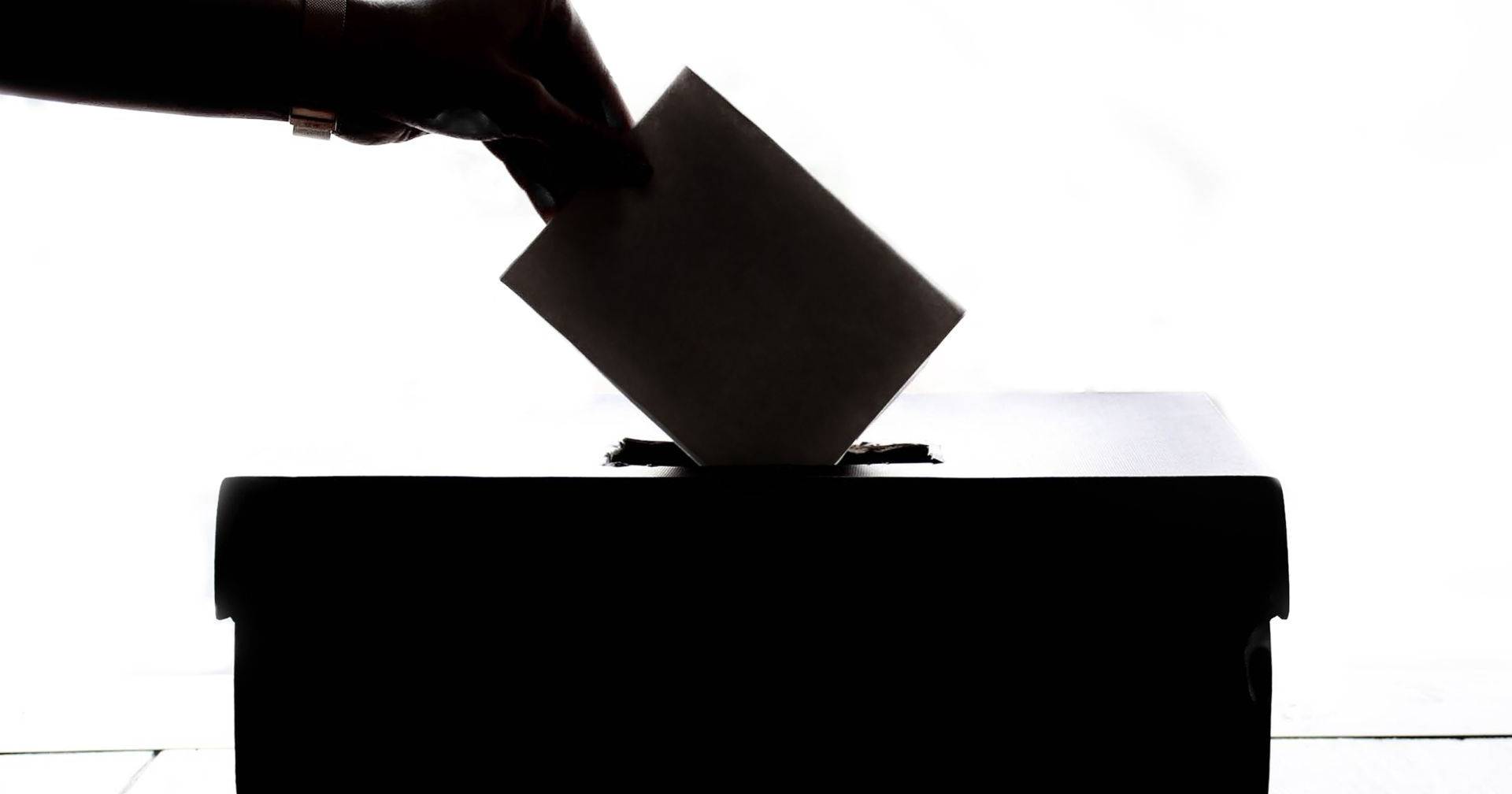 Record Number of Voters Register for Early Voting in Portugal's Legislative Elections