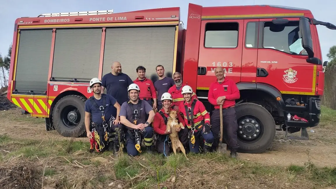 Resgate "intenso": Bombeiros de Ponte de Lima salvam cão que caiu em mina com 50 metros de profundidade