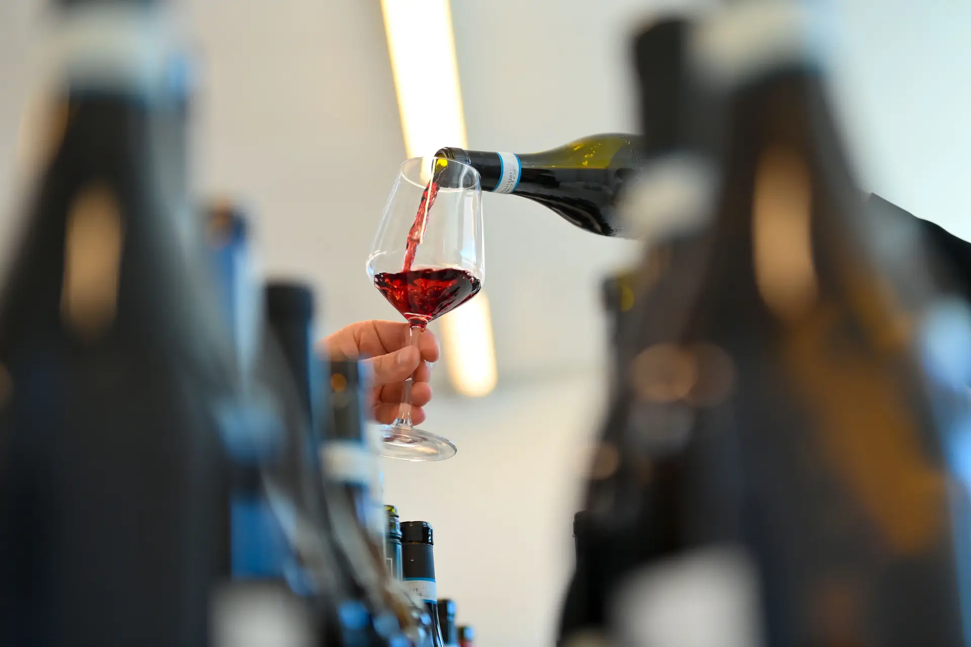 "Portugal Wine Trophy": Bairrada again organizes a leading program for Portuguese and international wines