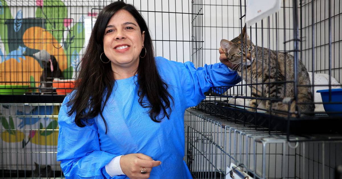 PAN rejeita diálogo com o Chega e defende criação de um Serviço Nacional de Saúde Animal