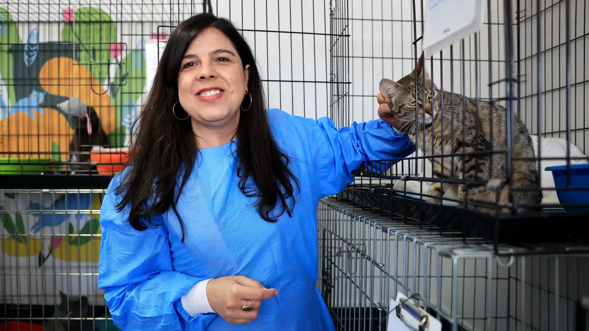 A porta-voz do Pessoas, Animais e Natureza (PAN), Inês de Sousa Real, visita a associação de proteção animal, Cantinho dos Tarecos, no âmbito da campanha para as eleições legislativas, Maia, 06 de maio de 2025. 