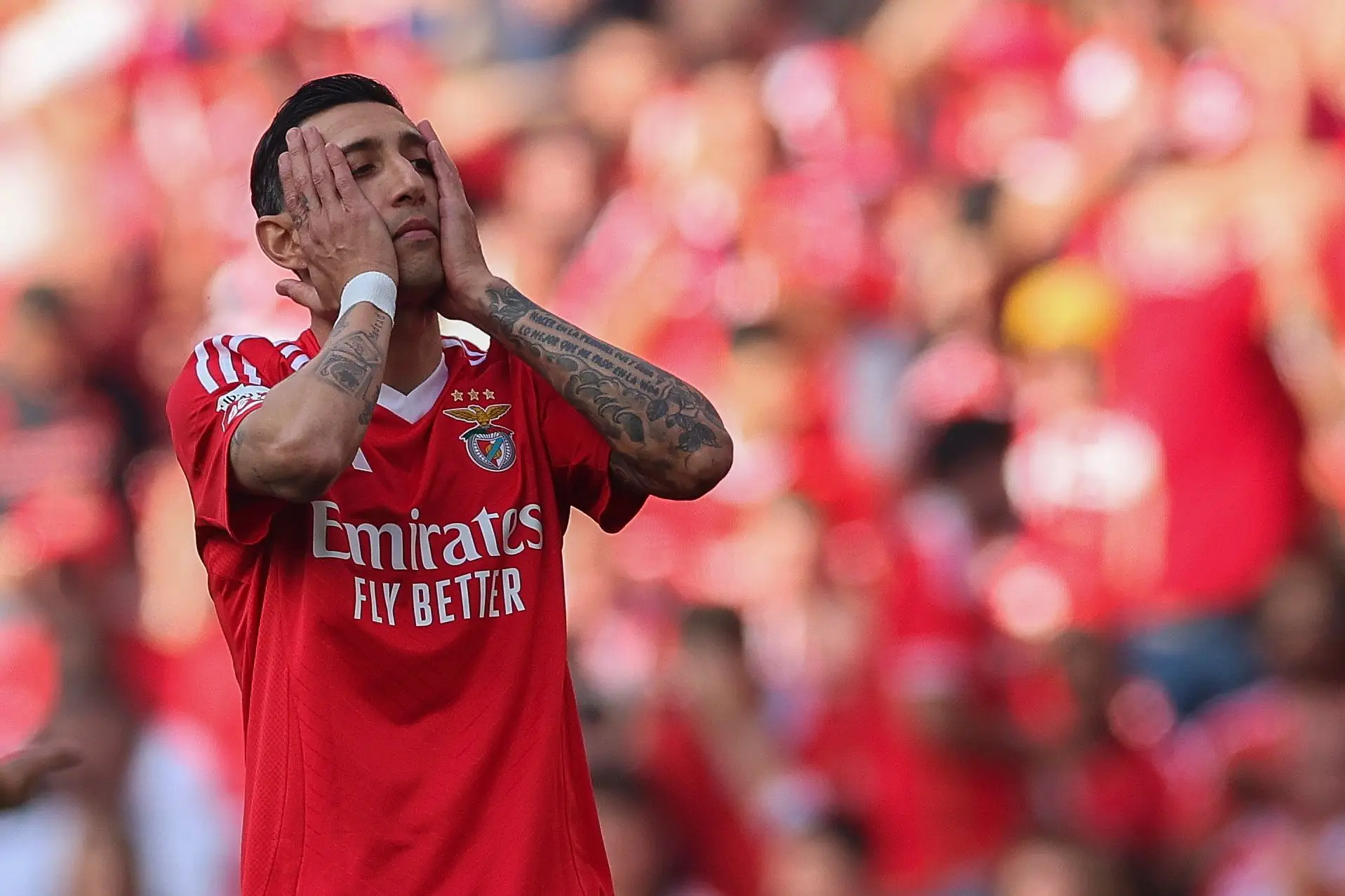 Sporting de Benfika: las notas de Zono Rosado