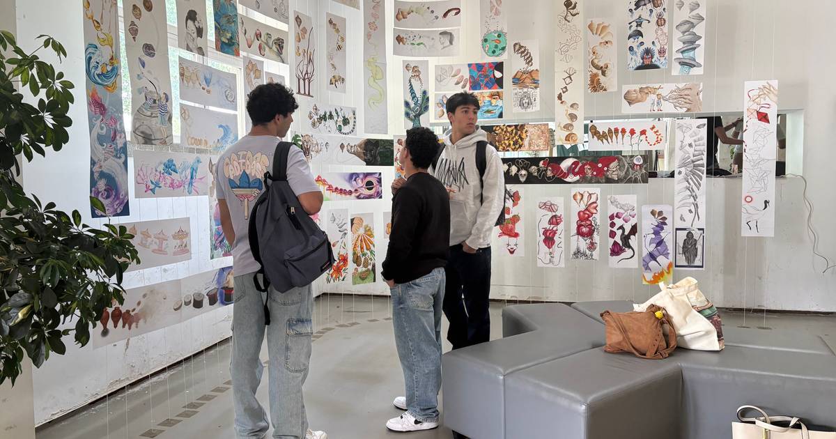 Alunos de Artes em Viseu fazem da escola uma galeria