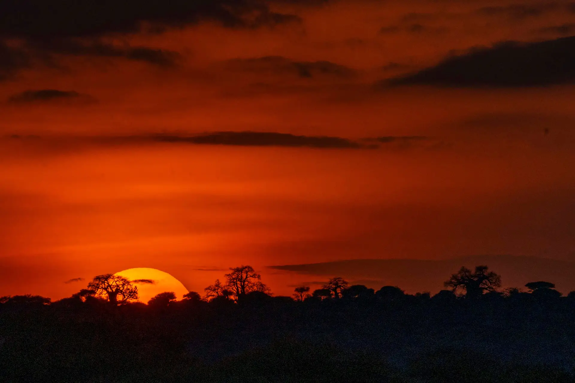 Alterações climáticas agravam fome e insegurança em África