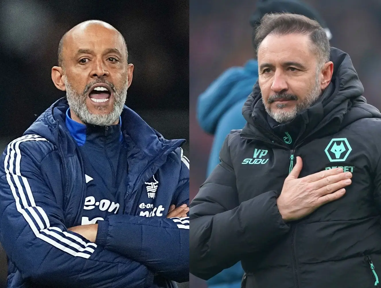 Espirito Santo y candidatos para el entrenador de Water Pereira de la época de la Premier League