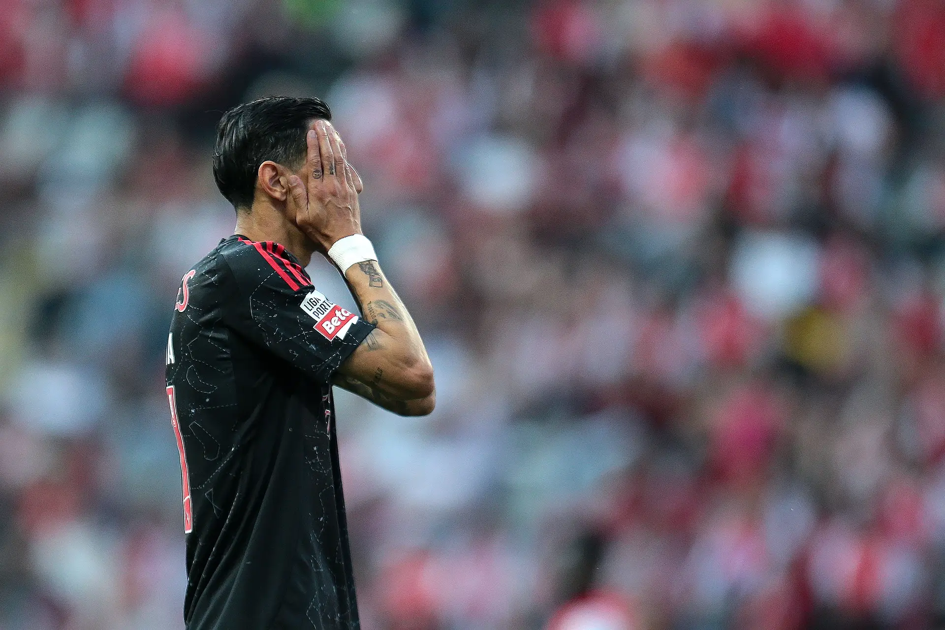 Sporting é bicampeão, Santa Clara na Liga Conferência, Farense e Boavista descem, AVS vai jogar playoff com o Vizela