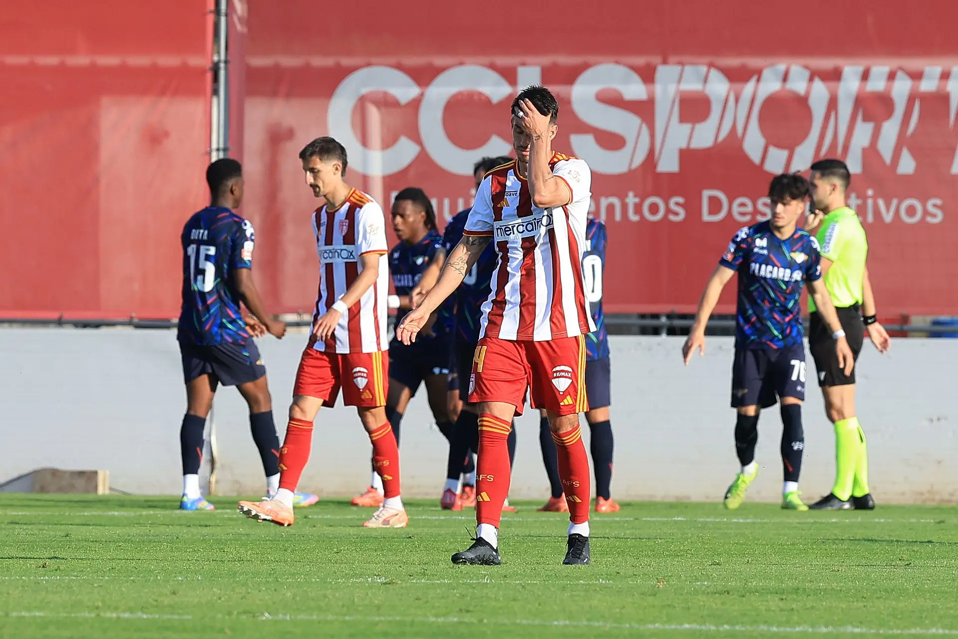 Sporting é bicampeão, Santa Clara na Liga Conferência, Farense e Boavista descem, AVS vai jogar playoff com o Vizela