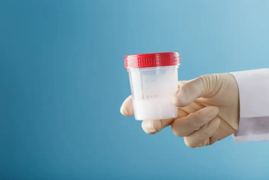 Esperma de um dador com risco de cancro usado para conceber mais de 60 crianças na Europa